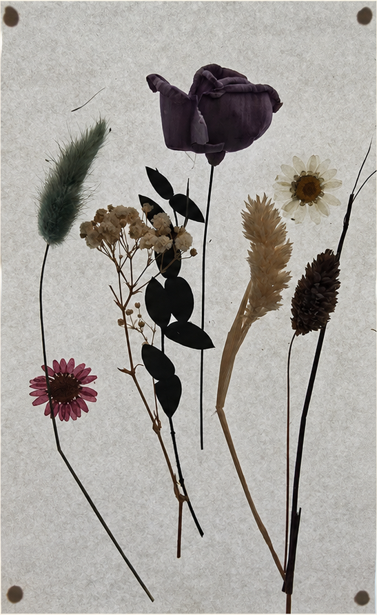 A collection of botanical artwork created by children at Clever Cubs using pressed flowers, leaves and stems.